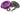 Xtreme VT-VZ T56 Single Plate Organic Clutch